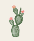 cactus icon