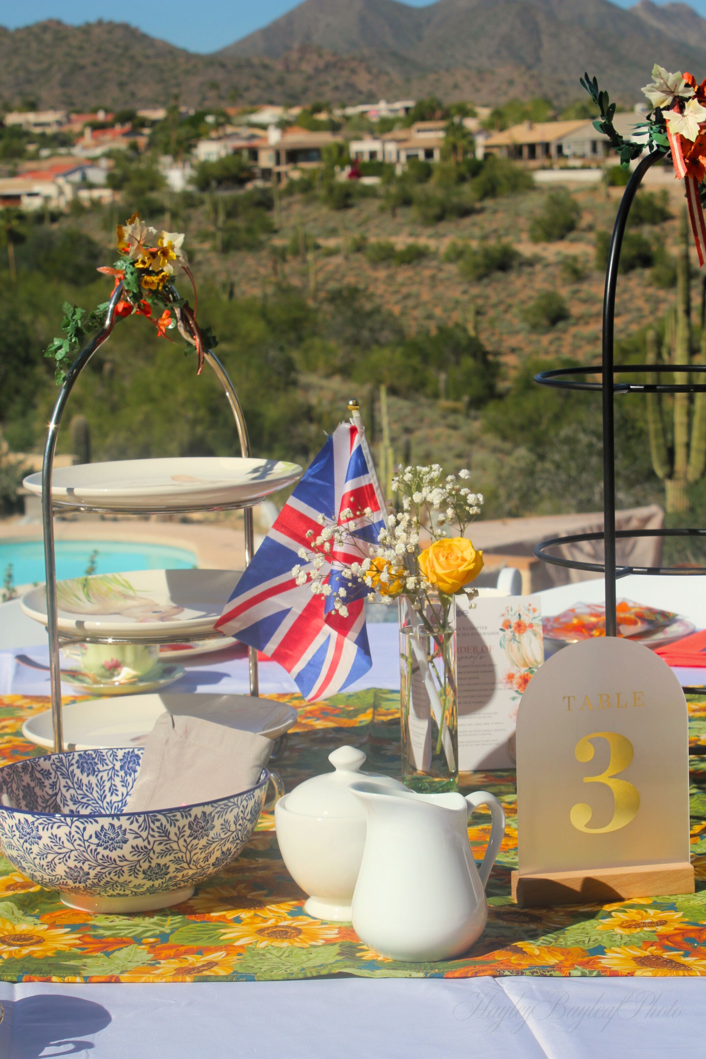 daughters of the british empire banner